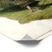 Poster Turquie sauvage Les oiseaux d'Amérique par James A (Coin)