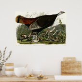 Poster Turquie sauvage Les oiseaux d'Amérique par James A (Cuisine)