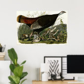 Poster Turquie sauvage Les oiseaux d'Amérique par James A (Bureau à domicile)