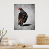 POSTER TURQUIE VULTURE BUZZARD (Cuisine)