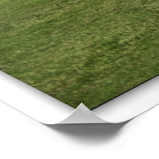 Poster turquoise (Coin)