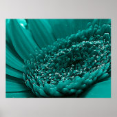 Poster Turquoise (Devant)