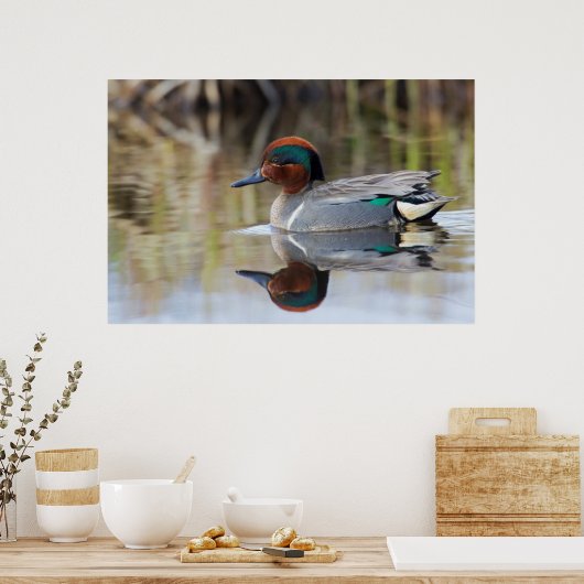 Poster Turquoise à ailes vertes (Cuisine)