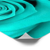 Poster Turquoise Spectaculaire Roses (Coin)