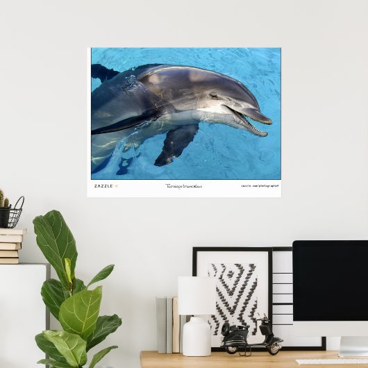 Poster Tursiops Truncatus (Bureau à domicile)