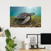 Poster Turtle At Dusk | Bay (Bureau à domicile)