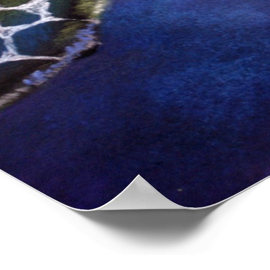 Poster Turtle Blues (Coin)