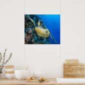 Poster Turtle de la mer verte | Mer rouge (Cuisine)
