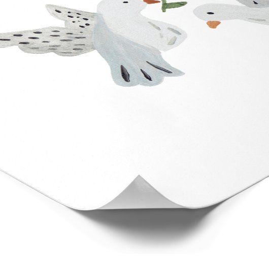 Poster Turtle Doses Art Print (Coin)