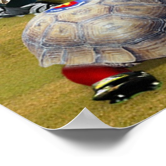 Poster Turtle Rugby (Coin)