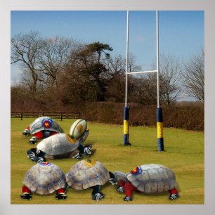 Poster Turtle Rugby
