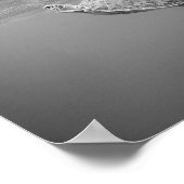 Poster Turtle Sea Life noir et blanc (Coin)