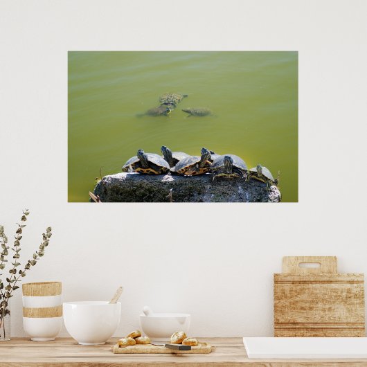 Poster turtlerock (Cuisine)