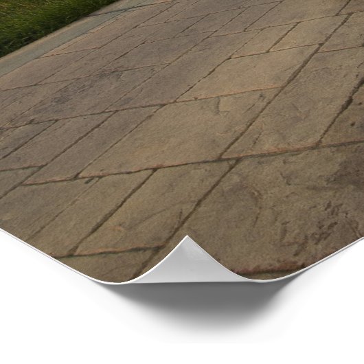 Poster Tu's 370z (Coin)