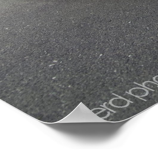 Poster Tu's 370z (Coin)