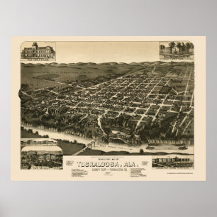 Poster Tuscaloosa, AL Carte panoramique - 1887