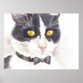 Poster Tuxedo (Devant)