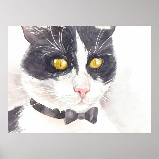 Poster Tuxedo (Devant)