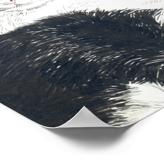 Poster Tuxedo (Coin)