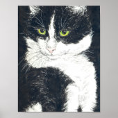 Poster Tuxedo (Devant)