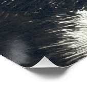 Poster Tuxedo (Coin)