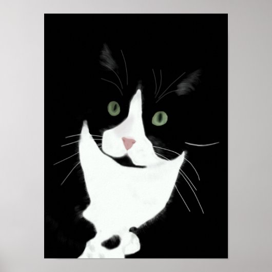 Poster Tuxedo (Devant)