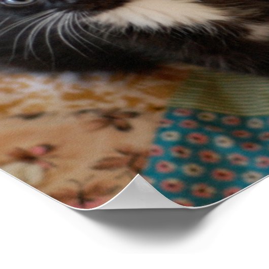 Poster Tuxedo (Coin)