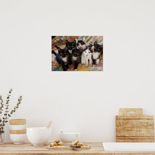 Poster Tuxedo (Cuisine)