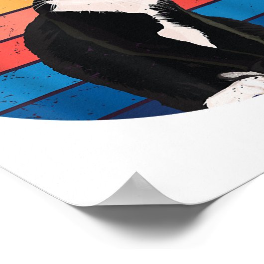 Poster Tuxedo Chat Cadeau Couleurs rétro pour Amoureux de (Coin)