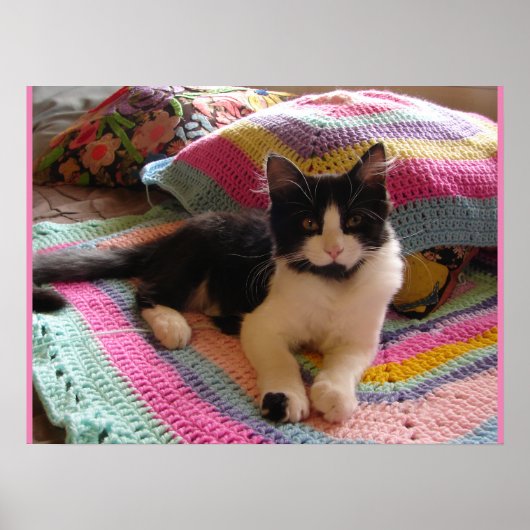 Poster Tuxedo Chat Cute dormant Crochet tapis Chats Poste (Devant)