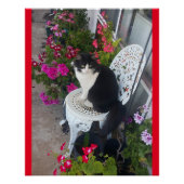 Poster Tuxedo Chat Cute Jolie Fleurs Chats Carte d'Annive (Devant)