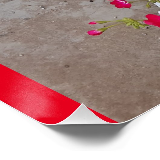 Poster Tuxedo Chat Cute Jolie Fleurs Chats Carte d'Annive (Coin)