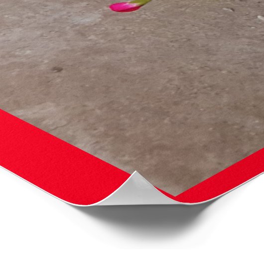 Poster Tuxedo Chat mignonne avec de jolies fleurs Chats n (Coin)