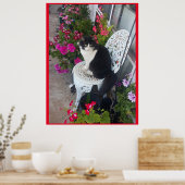 Poster Tuxedo Chat mignonne avec de jolies fleurs Chats n (Cuisine)