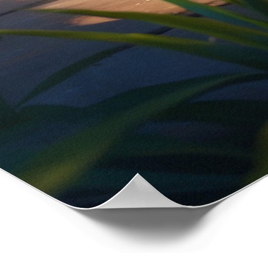 Poster *~* Tuxedo Garden Kitty Chat 5:4 Feline Kitten (Coin)