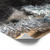 Poster Tuxedo Kitten Tinsel et lumières peint (Coin)