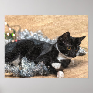 Poster Tuxedo Kitten Tinsel et lumières peint
