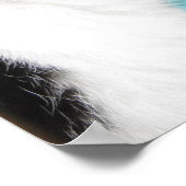 Poster Tuxedo profil de chat sur Turquoise (Coin)