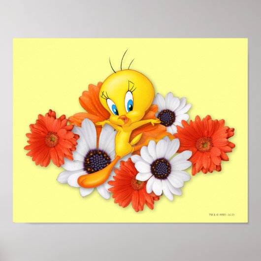 Poster Tweety avec des pâquerettes (Devant)