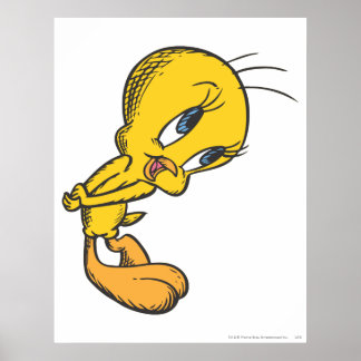 Poster Tweety Bashful