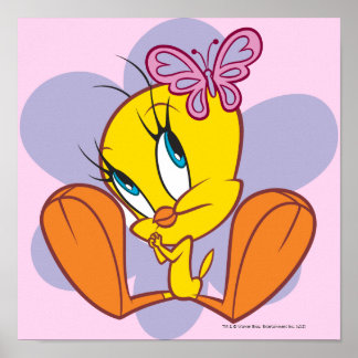 Poster Tweety et papillon