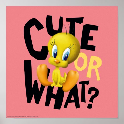 Poster TWEETY™ - Mignon ou quoi? (Devant)