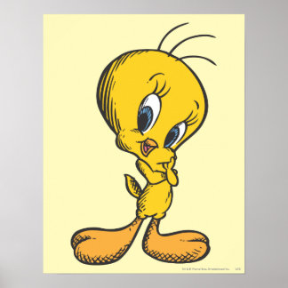Poster Tweety Shy