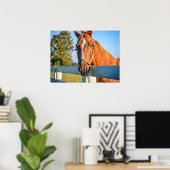 Poster Twilight Rose | Cheval de course Pur-sang (Bureau à domicile)