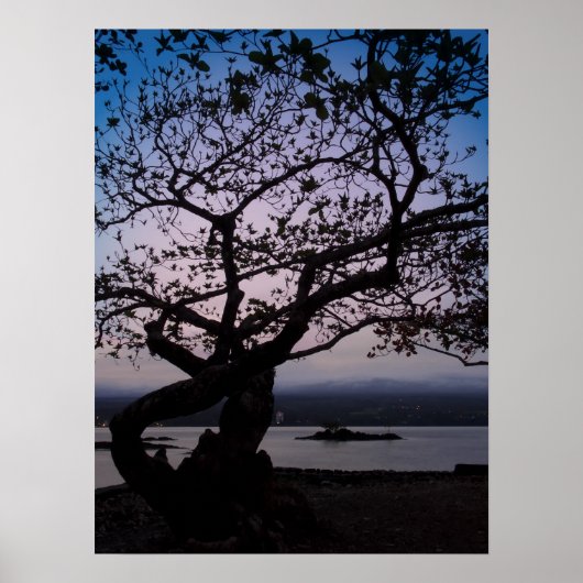 Poster TWILIGHT sur HILO BAY HAWAII (Devant)