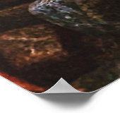 Poster Twilight Treasures : Rocky Beach (Coin)