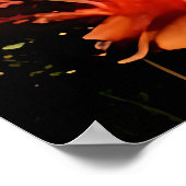 Poster Twilight Tropical (Coin)