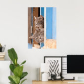 Poster Twin Blue Tabbies (Bureau à domicile)