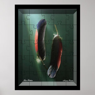 Poster Twin Feathers