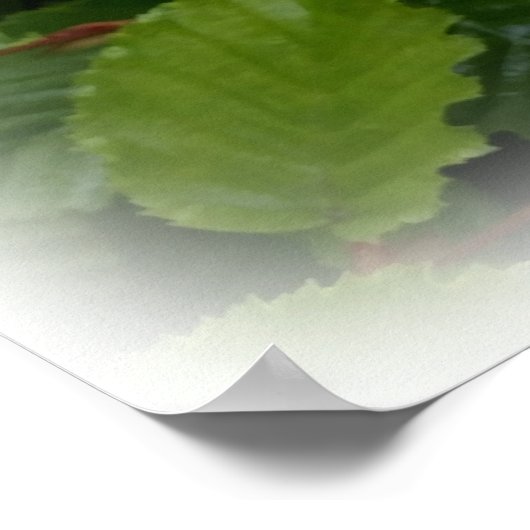 Poster twin le (Coin)